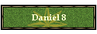 Danil 8