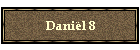 Danil 8