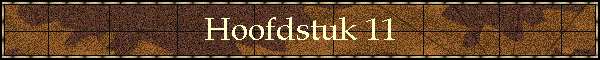 Hoofdstuk 11
