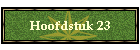 Hoofdstuk 23