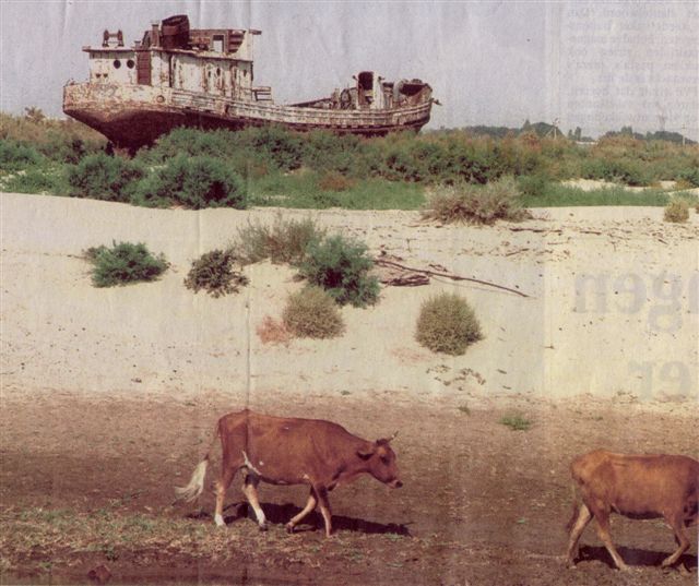 Ongeveer 255 miljoen mensen zijn in 2003 getroffen door droogte, hitte en aardbeving.