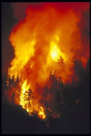 De laatste jaren brand de aarde dan hier dan daar; de schade door natuur, weer en wind bedroeg in 2003 ongeveer 56 miljard dollar.